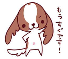 CavalierSticker_3 sticker #11931042