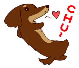 Dachshund Chocolate!!! sticker #11931622