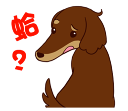 Dachshund Chocolate!!! sticker #11931630