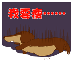 Dachshund Chocolate!!! sticker #11931633