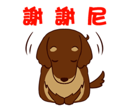 Dachshund Chocolate!!! sticker #11931635