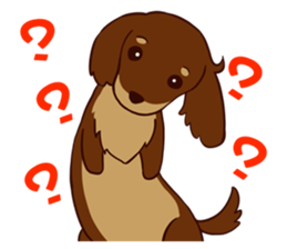Dachshund Chocolate!!! sticker #11931647
