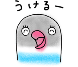 Japan`s kansai dialect-speaking lovebird sticker #11932972