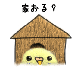 Nagoya parrot sticker #11933529