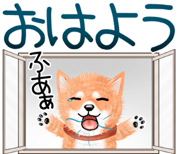 nuisiba summer sticker #11934470