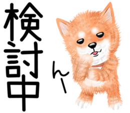 nuisiba summer sticker #11934474