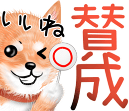 nuisiba summer sticker #11934475