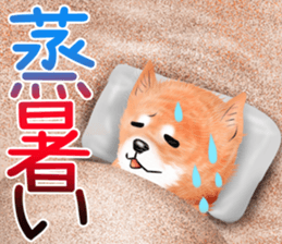 nuisiba summer sticker #11934479