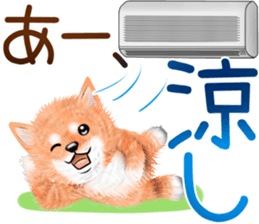 nuisiba summer sticker #11934480