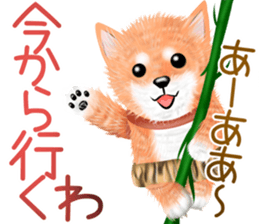 nuisiba summer sticker #11934482