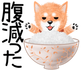 nuisiba summer sticker #11934483