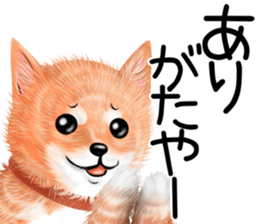 nuisiba summer sticker #11934484