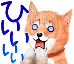 nuisiba summer sticker #11934490