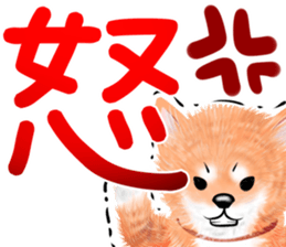 nuisiba summer sticker #11934499