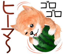 nuisiba summer sticker #11934502