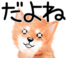 nuisiba summer sticker #11934503