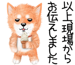 nuisiba summer sticker #11934504