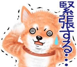 nuisiba summer sticker #11934505