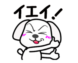 Moving ! MARU of a little bitter Maltese sticker #11934756