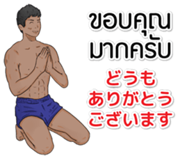 Hello Muay Thai sticker #11938474