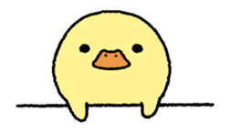 real baby duck in motion sticker #11938614