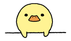 real baby duck in motion sticker #11938614