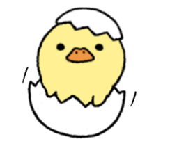 real baby duck in motion sticker #11938619