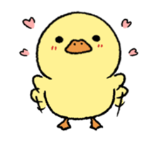 real baby duck in motion sticker #11938625