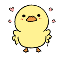 real baby duck in motion sticker #11938625