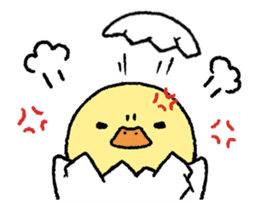 real baby duck in motion sticker #11938627