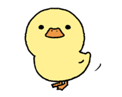 real baby duck in motion sticker #11938630