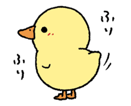real baby duck in motion sticker #11938631