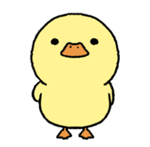 real baby duck in motion sticker #11938632