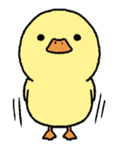 real baby duck in motion sticker #11938633