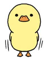 real baby duck in motion sticker #11938633