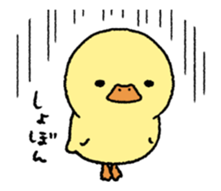 real baby duck in motion sticker #11938635