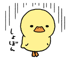 real baby duck in motion sticker #11938635