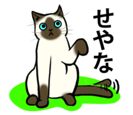 I like Siamese sticker #11939030