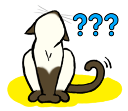 I like Siamese sticker #11939032