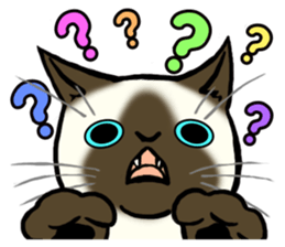 I like Siamese sticker #11939033