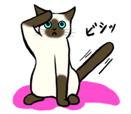 I like Siamese sticker #11939034