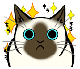 I like Siamese sticker #11939036