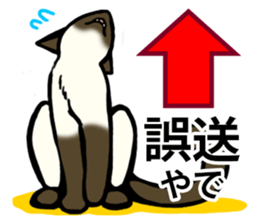 I like Siamese sticker #11939037