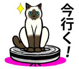 I like Siamese sticker #11939038