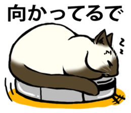 I like Siamese sticker #11939039