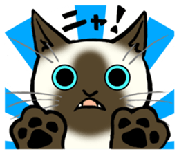 I like Siamese sticker #11939040