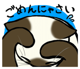 I like Siamese sticker #11939041