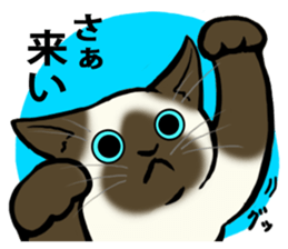 I like Siamese sticker #11939042