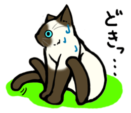 I like Siamese sticker #11939043