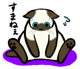 I like Siamese sticker #11939044